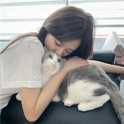 诗片